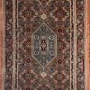 Iran Bijar Rug - 302x082 (cm)